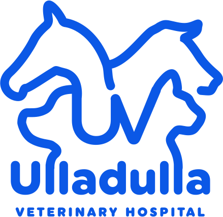 Ulladulla Veterinary